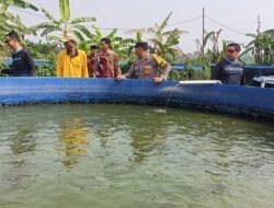 Polsek Gempol Gandeng Gapoktan Kembangkan Budidaya Lele