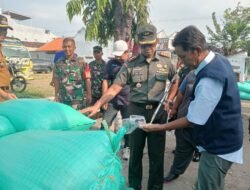 Dandim Pasuruan Tinjau Serapan Gabah Petani oleh Bulog