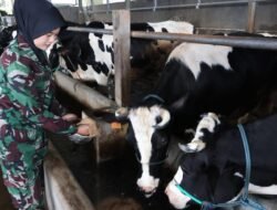 Sertu (K) Mira Martika, Sosok Kowad Berprestasi “Kartini Masa Kini”