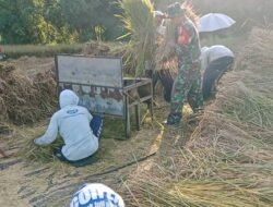 Koramil Leces Melaksanakan Komunikasi Sosial Mendampingi Petani