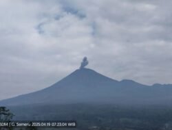 Gunung Semeru Sudah 4 Kali Meletus Sabtu Pagi Hingga Siang