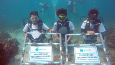 Komitmen Pelindo Terminal Petikemas dalam 15 Program TJSL