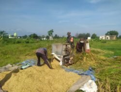 Babinsa Desa Dhumon Dampingi Petani Cegas Darurat Pangan