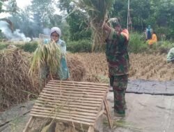 Sukseskan Gerakan Antisipasi Darurat Pangan Nasional, Koramil Bantaran Melakukan Pendampingan