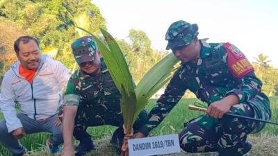 Hijaukan Tabanan, Kodim 1619 dan Pemkab Tanam Ribuan Pohon di Kawasan Air Terjun Pujungan
