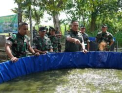 Danrem 081/DSJ Tinjau Pilot Project Ketahanan Pangan Terpadu