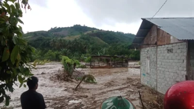 Banjir Bandang Terjang Donggala-Sulteng, BPBD: 100 KK Wombo Kalonggo Mengungsi