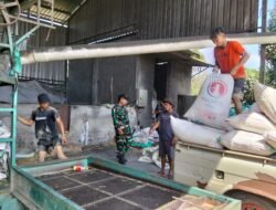 Kodim Probolinggo Dukung Program Serapan Gabah Petani