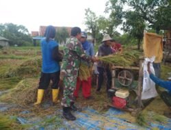 Koramil Wonomerto Melakukan Pendampingan Panan Padi