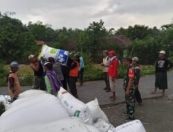 Babinsa Ramil 0819-03/Kraton Dampingi Petani dalam Serap Gabah