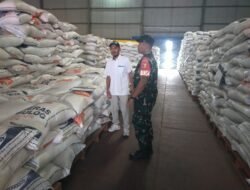 Babinsa Koramil Nganut Pantau Stok Beras di Gudang Bulog Pulosari