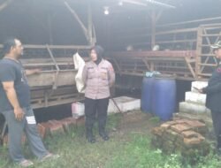 Jelang Idul Adha, Polsek Gedangan Bersama Perangkat Desa Ganting Lakukan Pengecekan Kesehatan Hewan Ternak