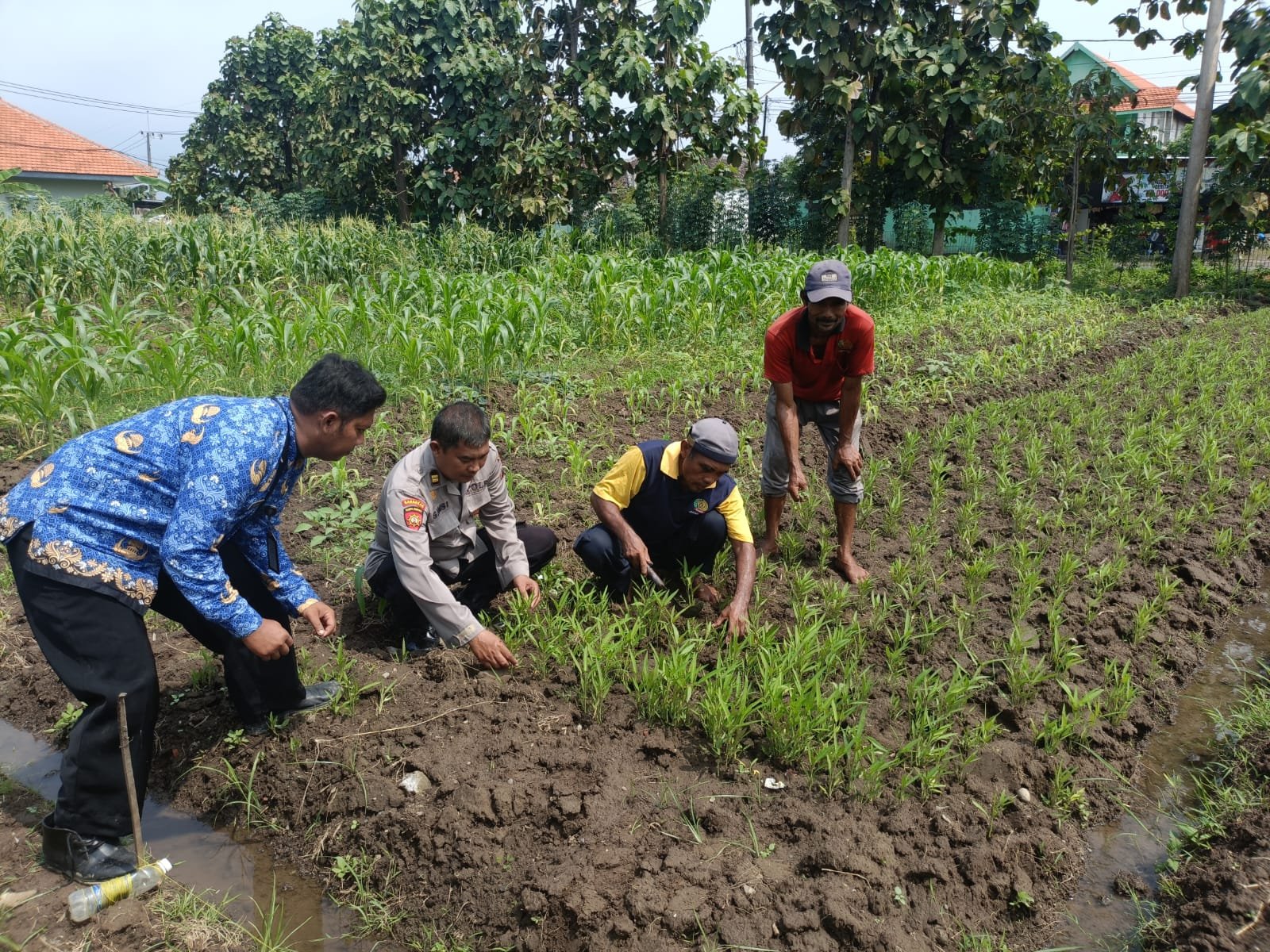Aiptu Satrio Wibowo, melaksanakan pengecekan terhadap pelaksanaan Program 1 Pekarangan Pangan Bergizi (P2B)