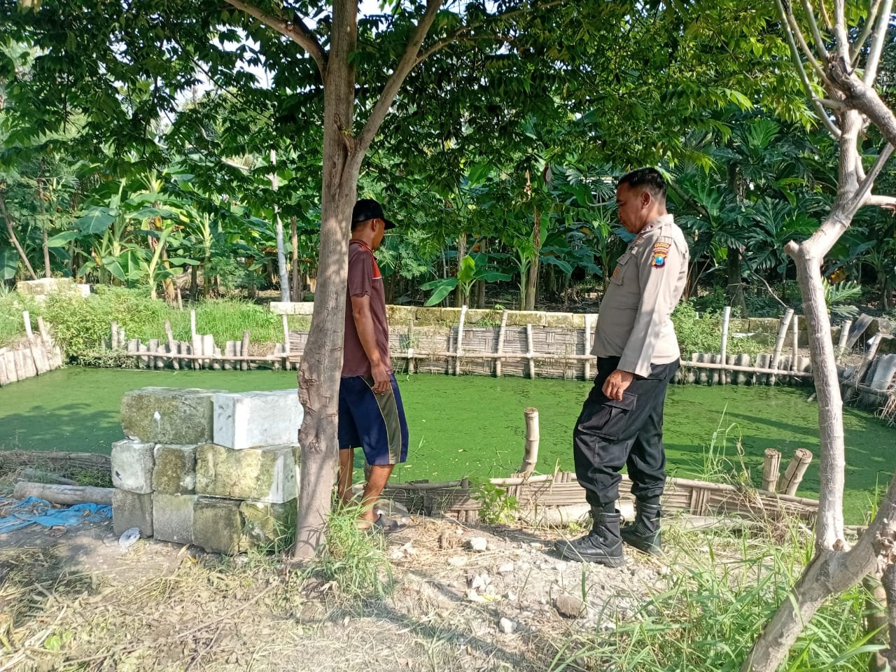Polsek Candi, Aiptu Sapto W, melaksanakan pengecekan Program Pekarangan Pangan Bergizi (P2B) budidaya ikan lele