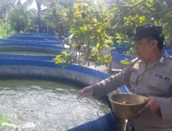 Bhabinkamtibmas Polsek Tulangan Tinjau Budidaya Perikanan Warga