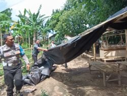 Polres Jember Bongkar Lima Arena Sabung Ayam