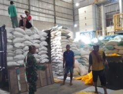 Sukseskan Gerakan Antisipasi Darurat Pangan: TNI Dampingi Petani di Probolinggo