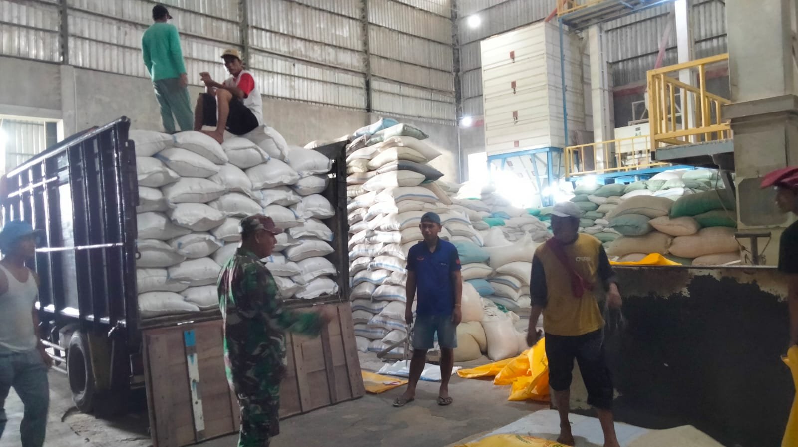 Sukseskan Gerakan Antisipasi Darurat Pangan: TNI Dampingi Petani di Probolinggo