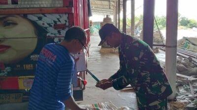 Koramil Kraksaan Dampingi Program Serapan Gabah Petani