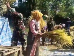 Koramil Sukapura Ikut Sukseskan Program Serapan Gabah Petani