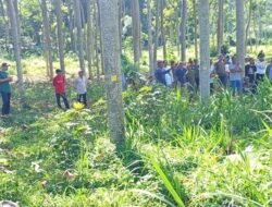 Sempat Terkendala, Pembagian Lahan Garapan Perhutani di Dusun Babadan Kediri Berjalan Lancar