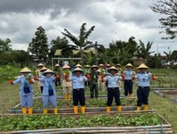 Panen Pakcoy, Lanud Husein Dukung Gizi Seimbang Lewat Dapur SPPG