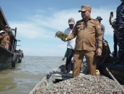 Pemkab Asahan Dorong Nelayan Budidaya Kerang Dara di Silo Baru