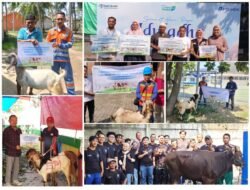 PT EPI Salurkan Hewan Kurban di Hari Raya Idul Adha 1446 H