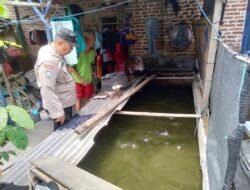 Polsek Tulangan Dukung Program Budidaya Ikan Lele