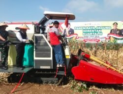Kasdam Brawijaya Ikuti Panen Raya Jagung Serentak Kuartal 2 di Ngawi