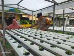 Polsek Taman Tinjau Progres Program Tanaman Sayur Hidroponik di Desa Pertapan Maduretno
