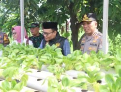 Kapolres Sidoarjo sebut Budidaya Pakcoy Hidroponik Wujudkan Swasembada Pangan