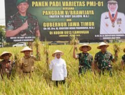 Pangdam Brawijaya Pimpin Panen Raya dan Tinjau Inovasi Pertanian Terpadu di Lamongan