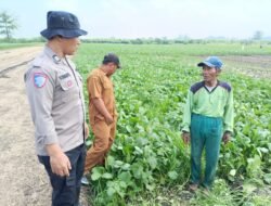 Bhabinkamtibmas Sumokembangsri Motivasi Warga Manfaatkan Lahan untuk Ketahanan Pangan