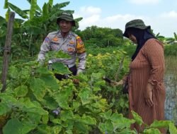 Bhabinkamtibmas Kalidawir Optimalkan Ketahanan Pangan Lewat Pekarangan Bergizi