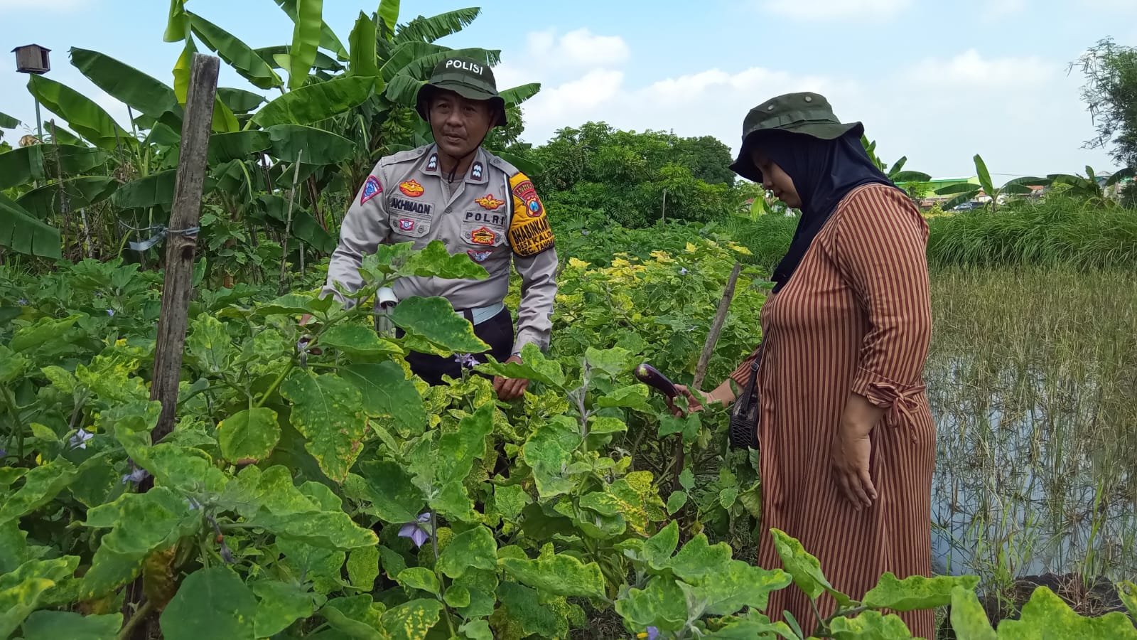 Bhabinkamtibmas Kalidawir Optimalkan Ketahanan Pangan Lewat Pekarangan Bergizi