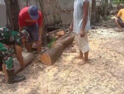 Babinsa 0820-03/Leces Turun Langsung Bersama Warga dalam Kerja Bakti