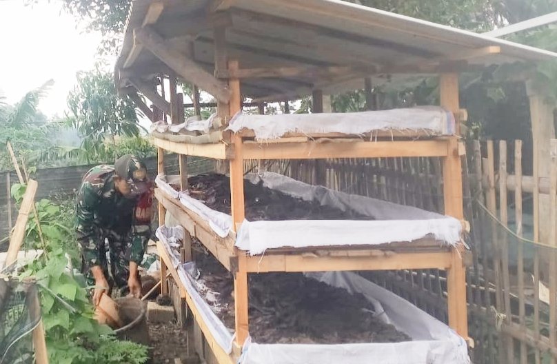 Koramil 0802/21 Pudak Melakukan Budidaya Cacing