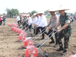 Imigrasi Surabaya dan Polresta Sidoarjo Kolaborasi Dukung Ketahanan Pangan Melalui Semarak Tanam Jagung