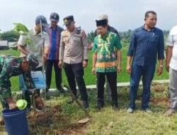 Jaga Lingkungan hijau, Danramil Purwosari Ikuti Ceremony Penanaman Pohon