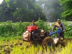 Koramil Wonoasih Dampingi Petani Tanam Jagung dalam Gerakan Antisipasi Darurat Pangan Nasional