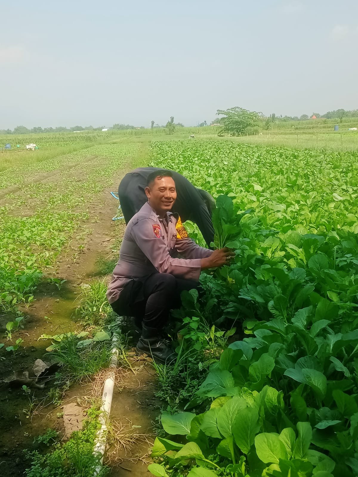 Bhabinkamtibmas Desa Keret Aipda Budianto terjun langsung ke lahan pekarangan warga di Desa Keret, Kecamatan Krembung,