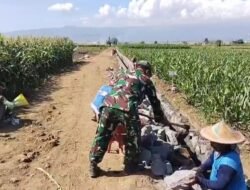 Koramil Sumberasih Kerja Bakti Bangun Saluran Irigasi