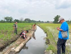 Dorong Transparansi dan Pembangunan Desa, Babinsa Bajangan Hadiri Monitoring dan Evaluasi