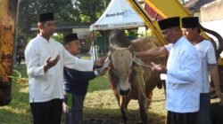 Idul Adha