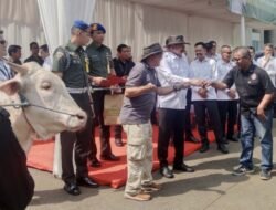Terima Sapi Kurban, Ketua Forwaka Apresiasi Jaksa Agung