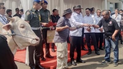 Terima Sapi Kurban, Ketua Forwaka Apresiasi Jaksa Agung
