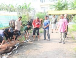 Kodim 0501/JP Salurkan Daging Kurban Idul Adha ke Warga