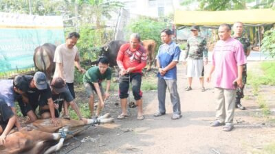 Kodim 0501/JP Salurkan Daging Kurban Idul Adha ke Warga