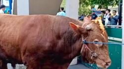 Keteladanan dari Presiden: Prabowo Berkurban untuk Warga Bandung